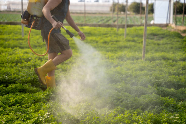 Best Affordable Pest Control Services  in Greenfield, OH