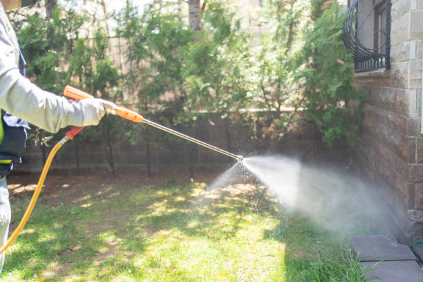 Bird Control in Greenfield, OH