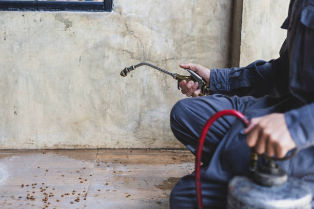 Best Pest Inspection Near Me  in Greenfield, OH